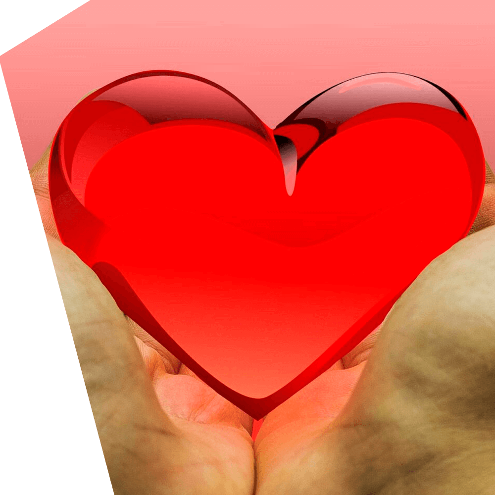 IT services for non-profit